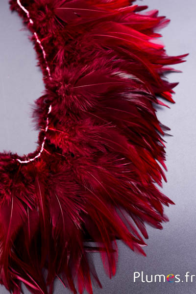 Frange coq - long. plumes 10-15 cm - bordeaux